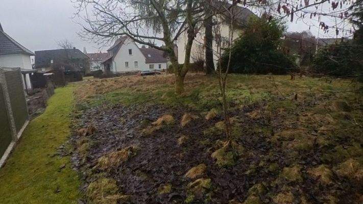 Snapshot_20260248_210276