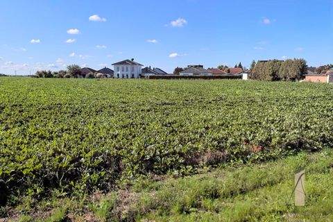 Rottmersleben Grundstücke, Rottmersleben Grundstück kaufen