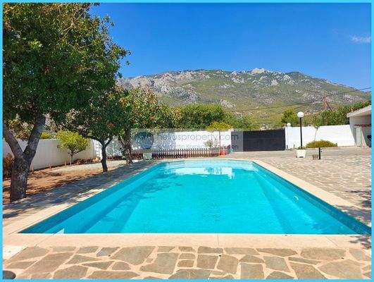 a51bb1171d8048b7b3940edfa854be65-original