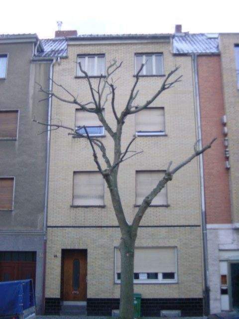 Düren Renditeobjekte, Mehrfamilienhäuser, Geschäftshäuser, Kapitalanlage