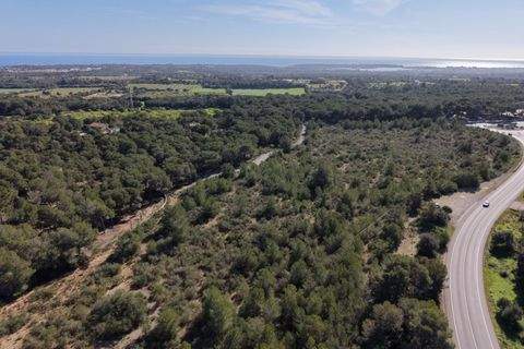 Portocolom Grundstücke, Portocolom Grundstück kaufen