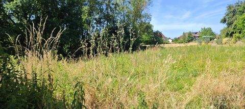 Oberteuringen Grundstücke, Oberteuringen Grundstück kaufen