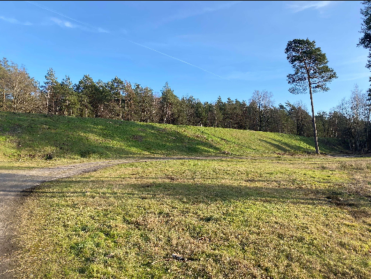 Screenshot 2025-08-27 at 16-24-33 Medien-Verwaltun