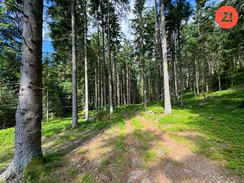 Rehberg Bauernhöfe, Landwirtschaft, Rehberg Forstwirtschaft