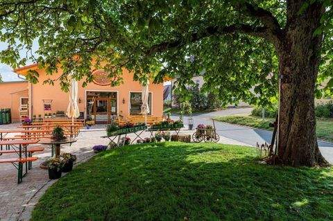 Alfeld Renditeobjekte, Mehrfamilienhäuser, Geschäftshäuser, Kapitalanlage