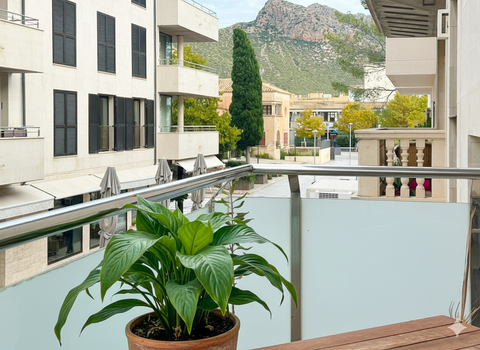 Port de Pollença Wohnungen, Port de Pollença Wohnung kaufen