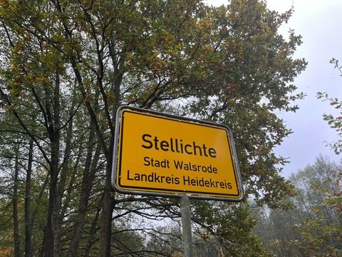 Walsrode / Stellichte Bauernhöfe, Landwirtschaft, Walsrode / Stellichte Forstwirtschaft