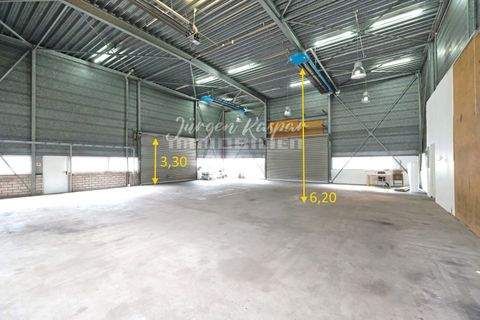 Nürnberg Halle, Nürnberg Hallenfläche