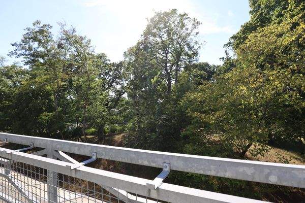 Blick vom Balkon im Sommer