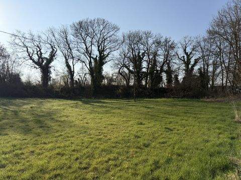 Münstermaifeld Grundstücke, Münstermaifeld Grundstück kaufen