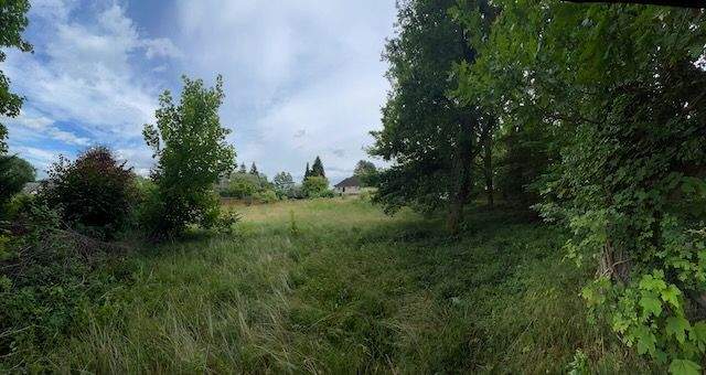 Bergen Am Hang 5 - 3.jpeg