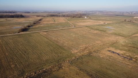 Asselfingen Bauernhöfe, Landwirtschaft, Asselfingen Forstwirtschaft