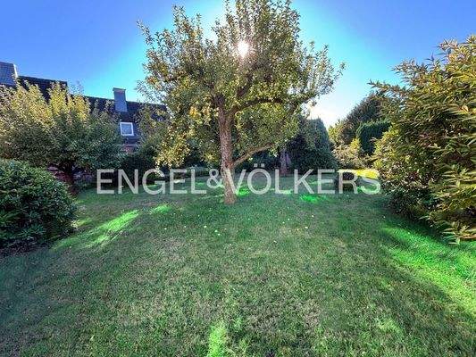 Sehr gut geschnittenes Grundstück