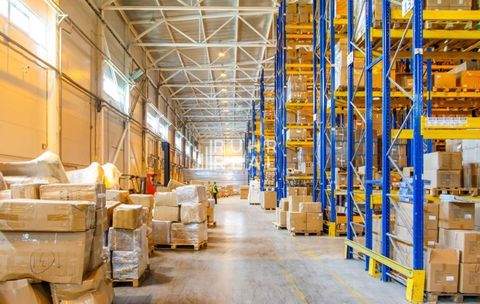 Frechen Halle, Frechen Hallenfläche