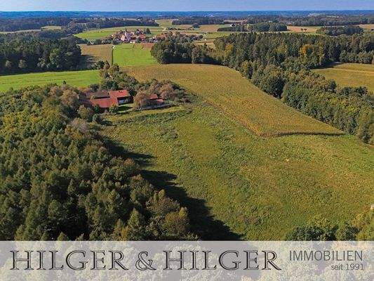 Hof mit angrenzendem Weideland 