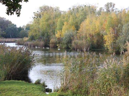 wunderschöne Umgebung