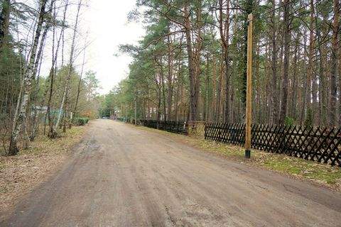 Borkheide Grundstücke, Borkheide Grundstück kaufen