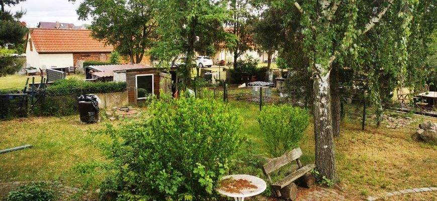 Blick auf das Grundstück