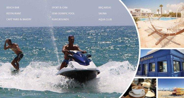 Caesar Projects Catalogue 2024_Seite_36