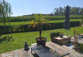 Blick im Sommer in die Natur