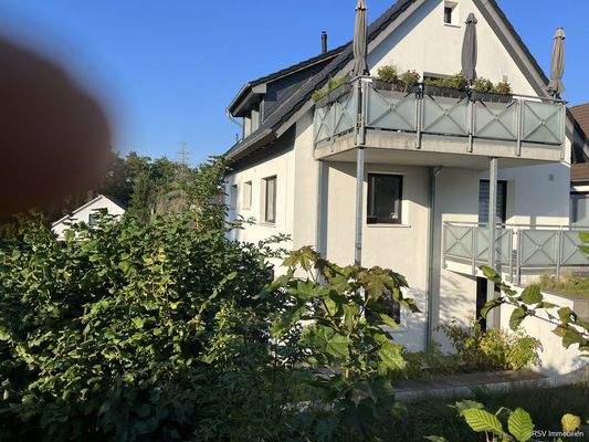 Gaube von der Straße