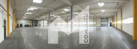 Aachen Halle, Aachen Hallenfläche