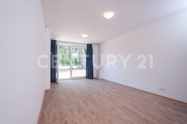 Zimmer/Wohnung