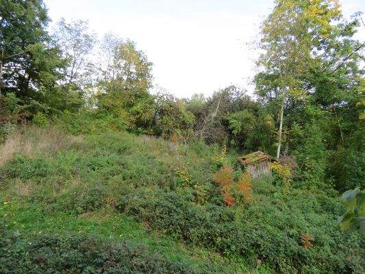 Ausblick auf das Grundstück vom OG 