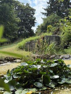 Parkähnliches Anwesen