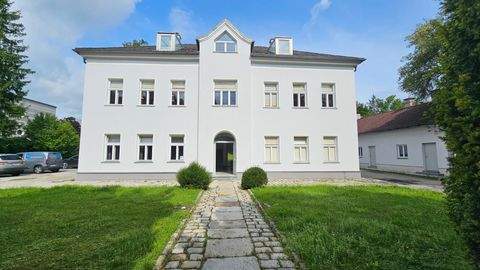 Steyr Büros, Büroräume, Büroflächen 