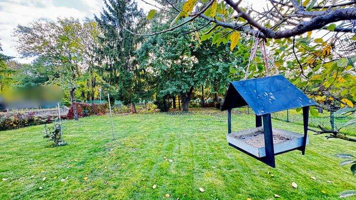 Vogelhäuschen nach hinten