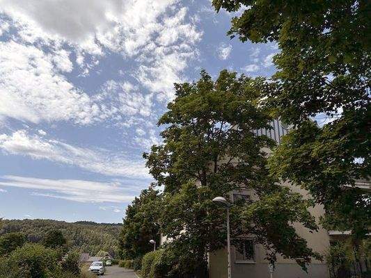 Grüne Umgebung, Wald, zählt schon zum Erzgebirge