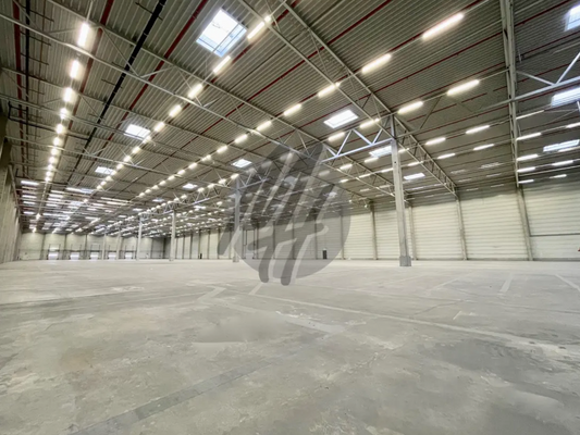 INFOS UNTER: 06171-586000