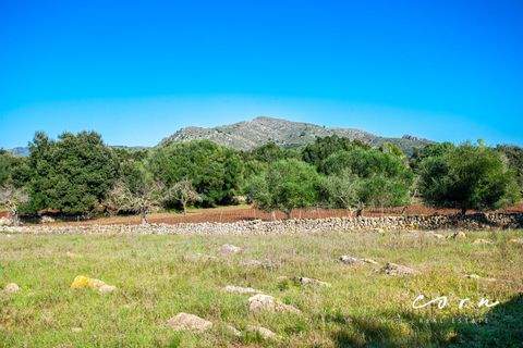 Artà Grundstücke, Artà Grundstück kaufen