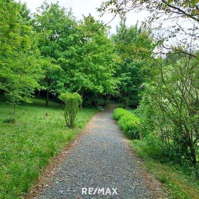 parkähnlicher Garten