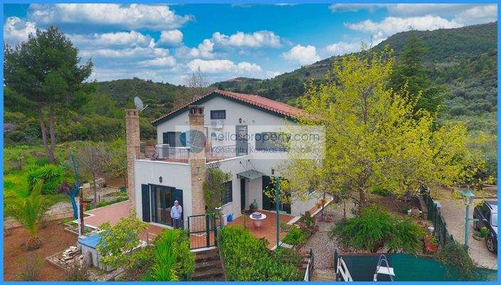 105f4cd6338e43b0a85e79ee479a2aba-original