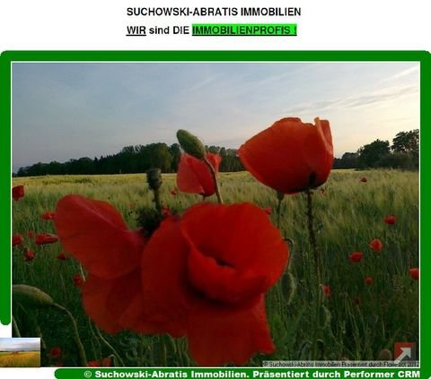 Tauche Bauernhöfe, Landwirtschaft, Tauche Forstwirtschaft