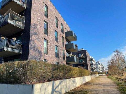 Hamburg Wohnungen, Hamburg Wohnung mieten