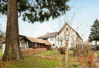 Garten 4