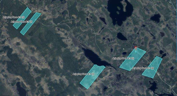 Kartendarstellung einzelner Flächen.jpg