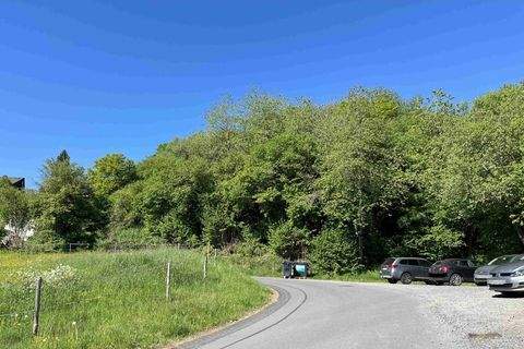 Daun / Neunkirchen Grundstücke, Daun / Neunkirchen Grundstück kaufen