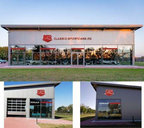 Beilrode Halle, Beilrode Hallenfläche