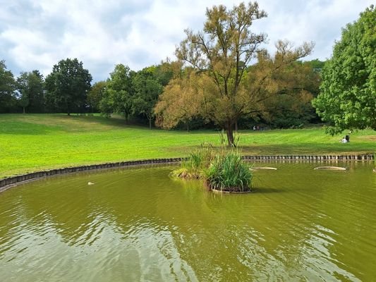 Park in der Nähe