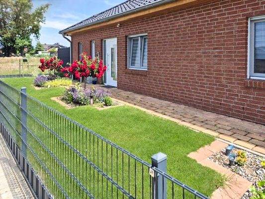 Ansicht vorn blühend