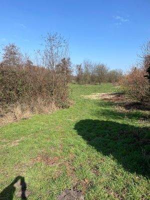 Grünflächen - Natur 