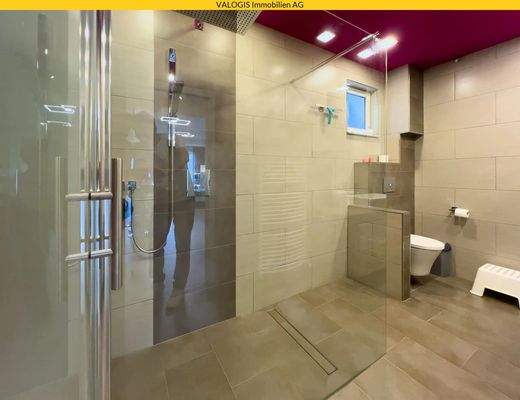 AP461-Einliegerwohnung-17