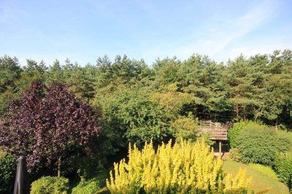 Blick aus DG auf den Garten