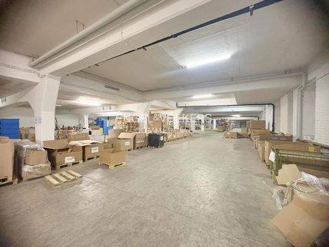 Berlin Halle, Berlin Hallenfläche