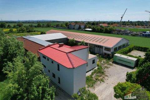 Trumau Ladenlokale, Ladenflächen 