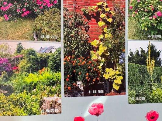 Sommer- Impressionen